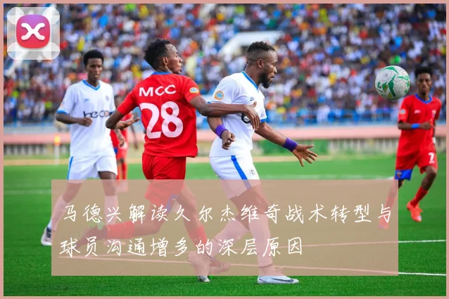 马德兴解读久尔杰维奇战术转型与球员沟通增多的深层原因