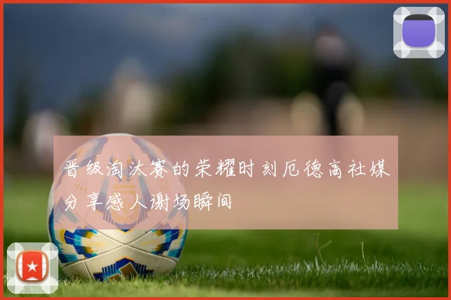 晋级淘汰赛的荣耀时刻厄德高社媒分享感人谢场瞬间
